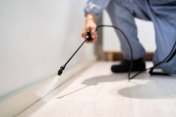 Bed Bug Pre-Treatment Preparation Assessment in Faison
