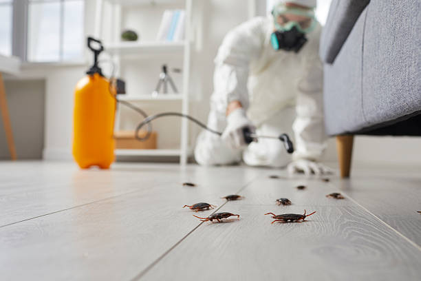 Post-Treatment Bed Bug Interceptor Monitoring in Faison