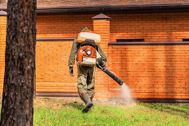 Bed Bug Clearance Verification and Documentation in Faison